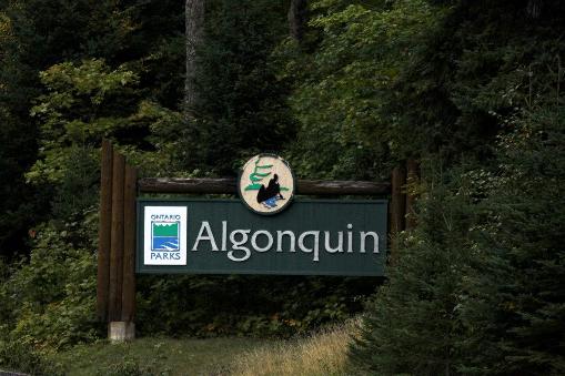 Algonquin Park: Visiting the Oldest and Biggest Provincial Park in Canada.